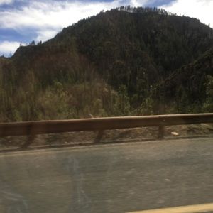 Meet your Posher, Meg